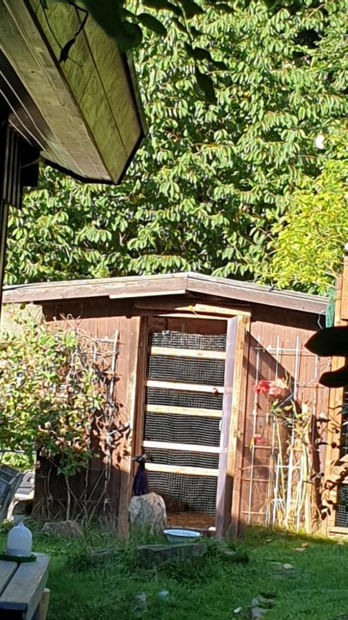 Ferienhaus Nr. 60 Im Ferienpark Am Twistesee 바트아롤젠 외부 사진
