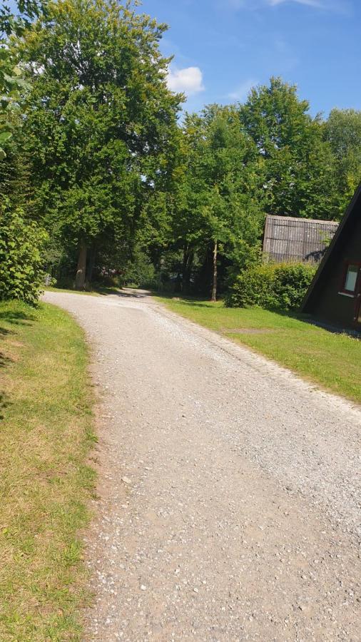 Ferienhaus Nr. 60 Im Ferienpark Am Twistesee 바트아롤젠 외부 사진
